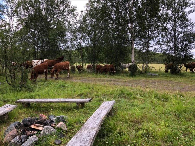 Willa Kulpmo Gard Jarfjord-Kirkenes Zewnętrze zdjęcie