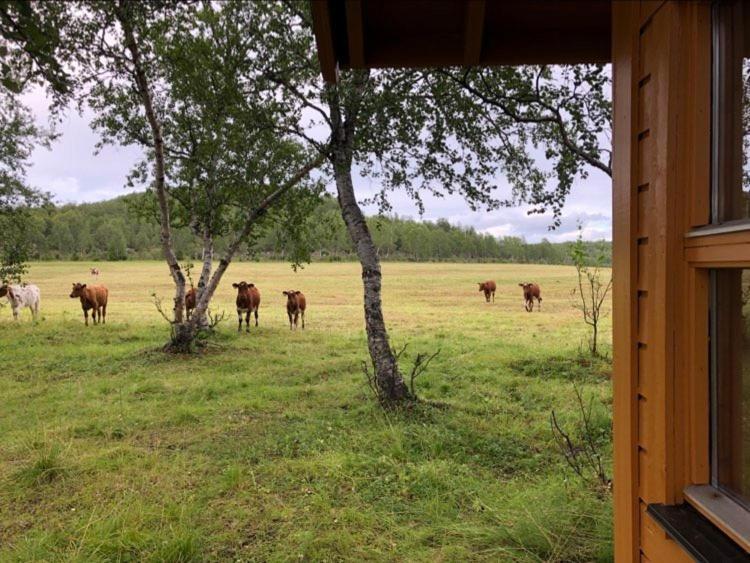 Willa Kulpmo Gard Jarfjord-Kirkenes Zewnętrze zdjęcie